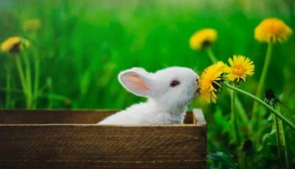 哥伦比亚小将闪耀，助球队晋级