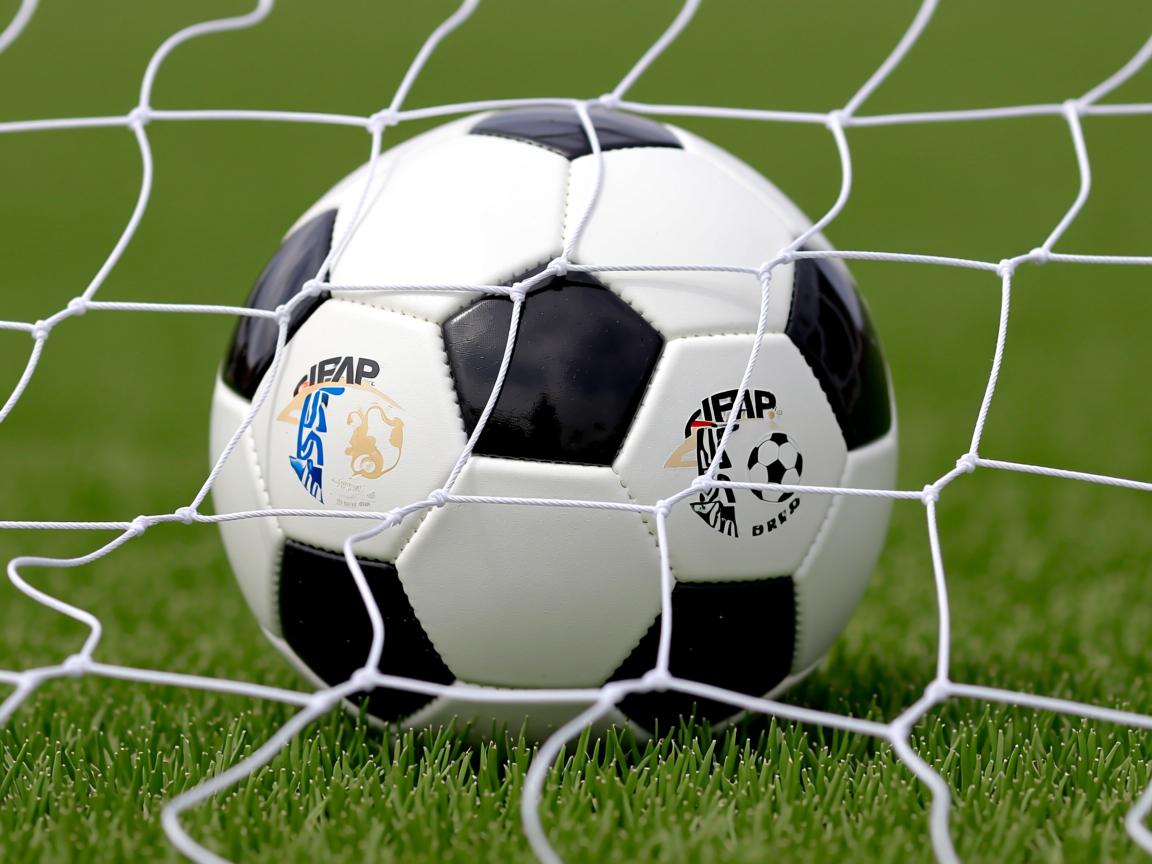 kaiyun网址-“成都滑轮中心：新血液冲击旧纪录，谁能独占鳌头？”