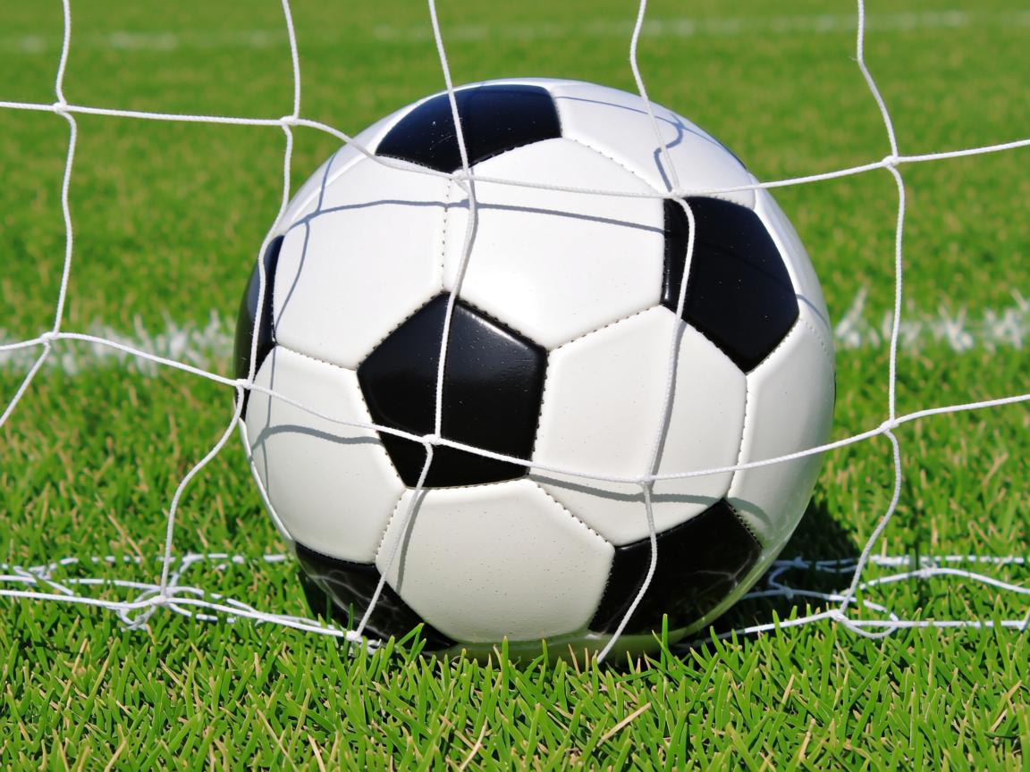 开云体育平台-多特蒙德中场球员技艺精湛,成为焦点 第2张