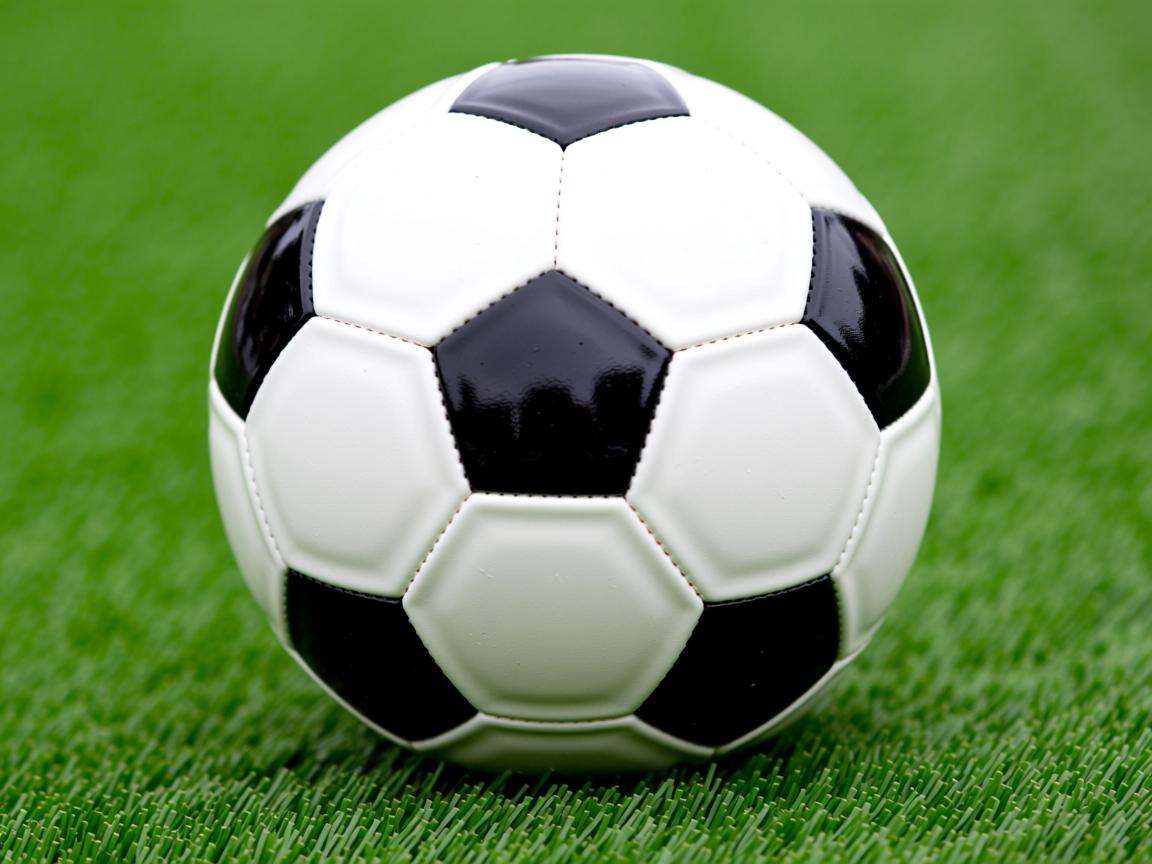 开云体育下载-奥运备战科学制定目标计划，奥运备战科学制定目标计划表  第3张